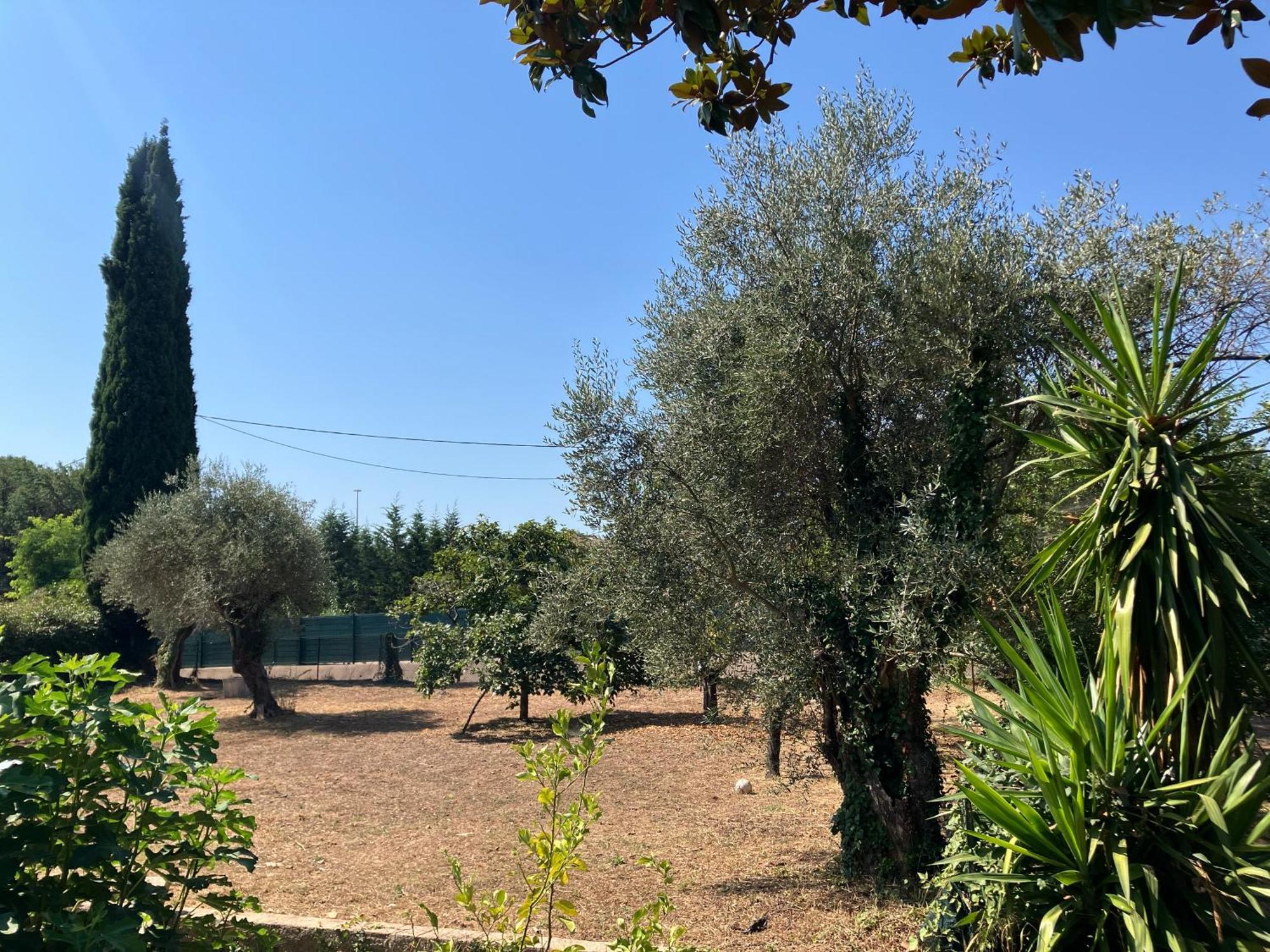 Villa Thyziri Roquefort Les Pins Exteriér fotografie